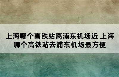 上海哪个高铁站离浦东机场近 上海哪个高铁站去浦东机场最方便